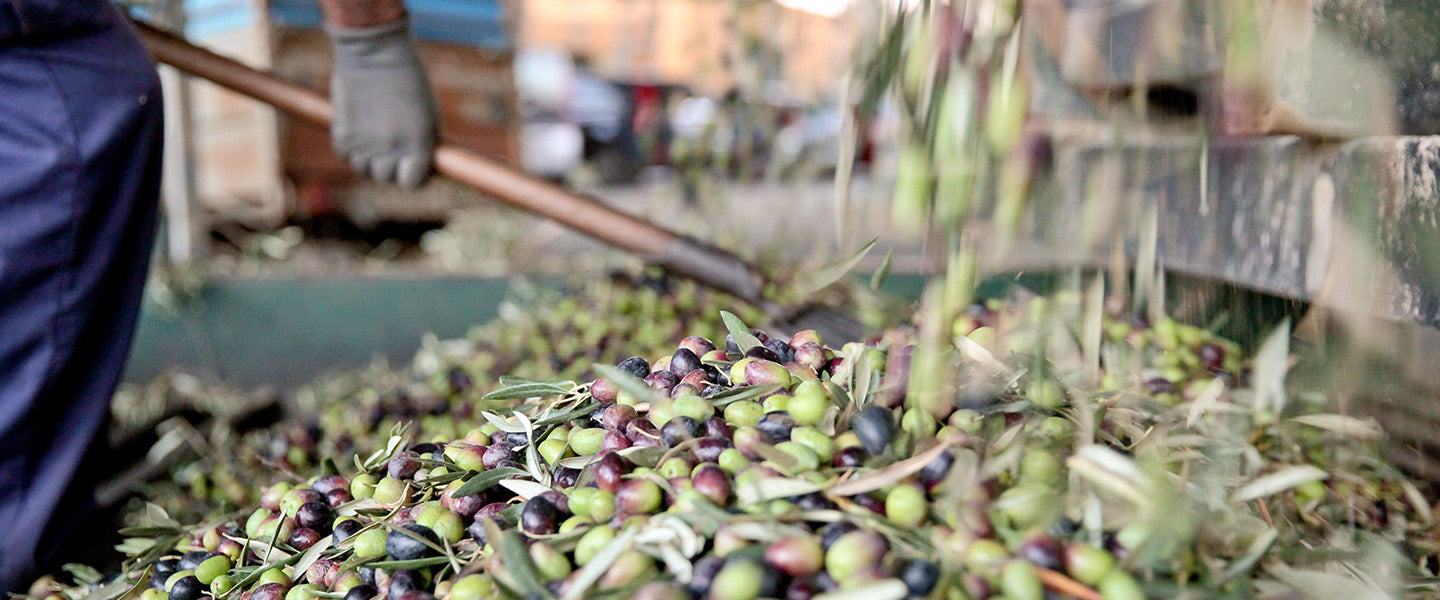 The Oil Still Flows... All Your Spanish Favorites Are Here