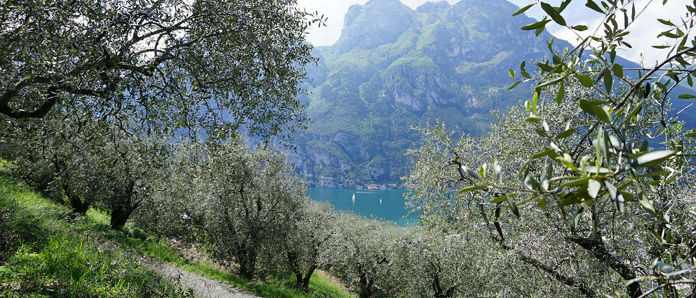 Agraria Riva del Garda