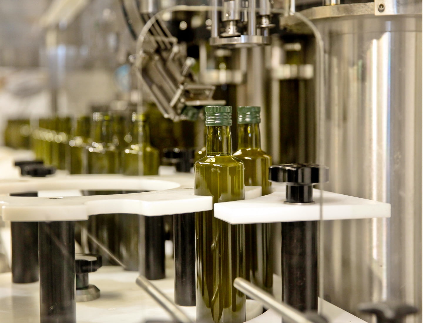olive oil bottles being filled in factory