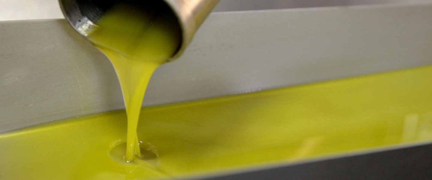 Does Olive Oil Make You Live Longer?