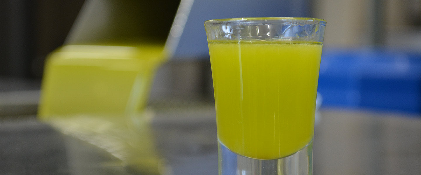 Is Olive Oil Good For You?
