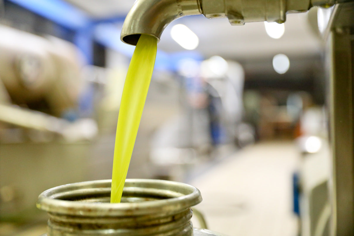 Olive Oil Versus Canola & Other Vegetable Oils