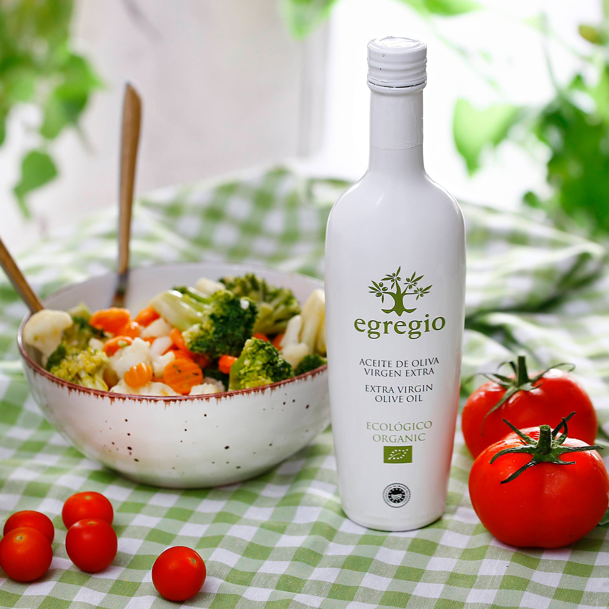Healthy Mediterranean cuisine with Oleoestepa Egregio Organic extra virgin olive oil, alongside a fresh vegetable salad.