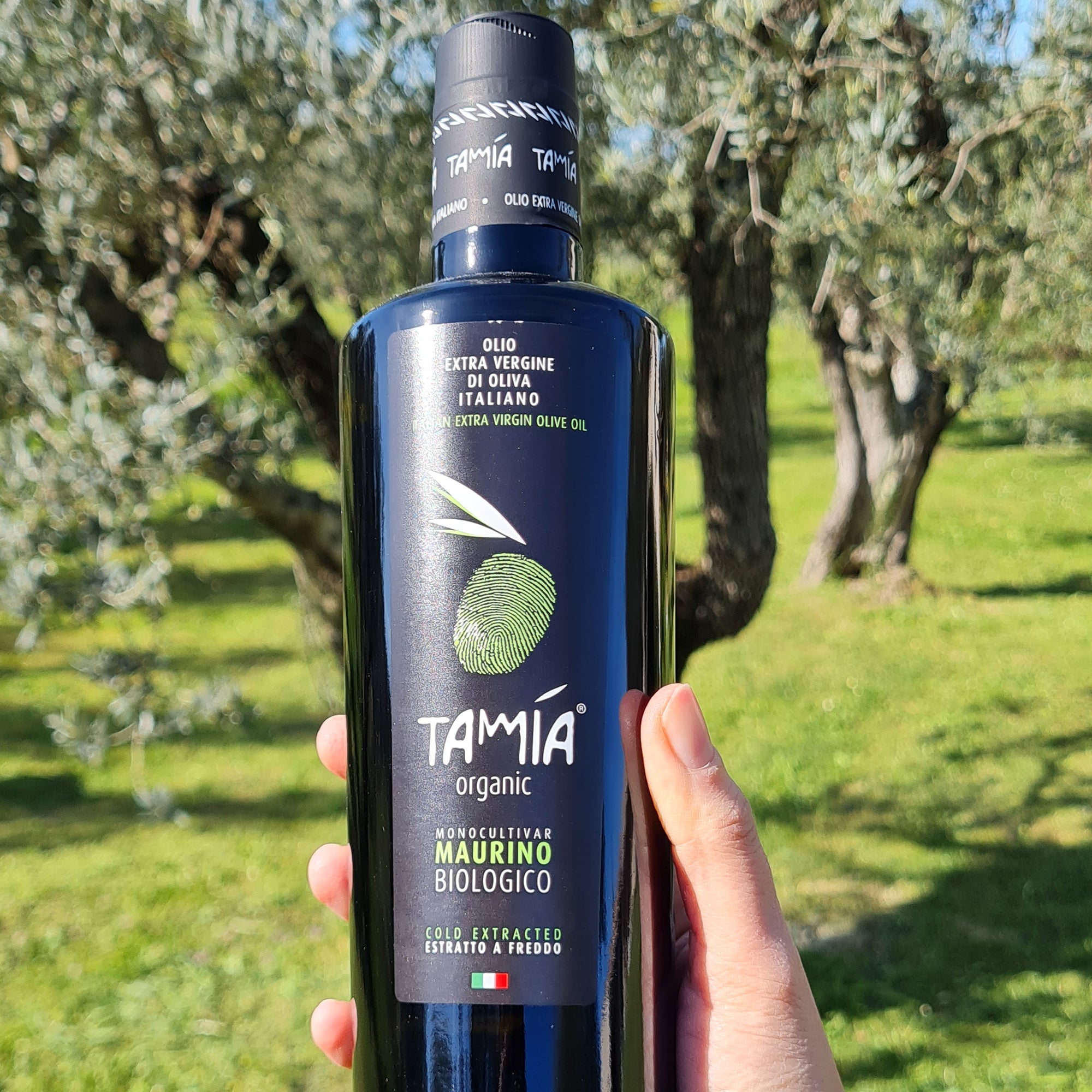 Tamia Maurino Organic