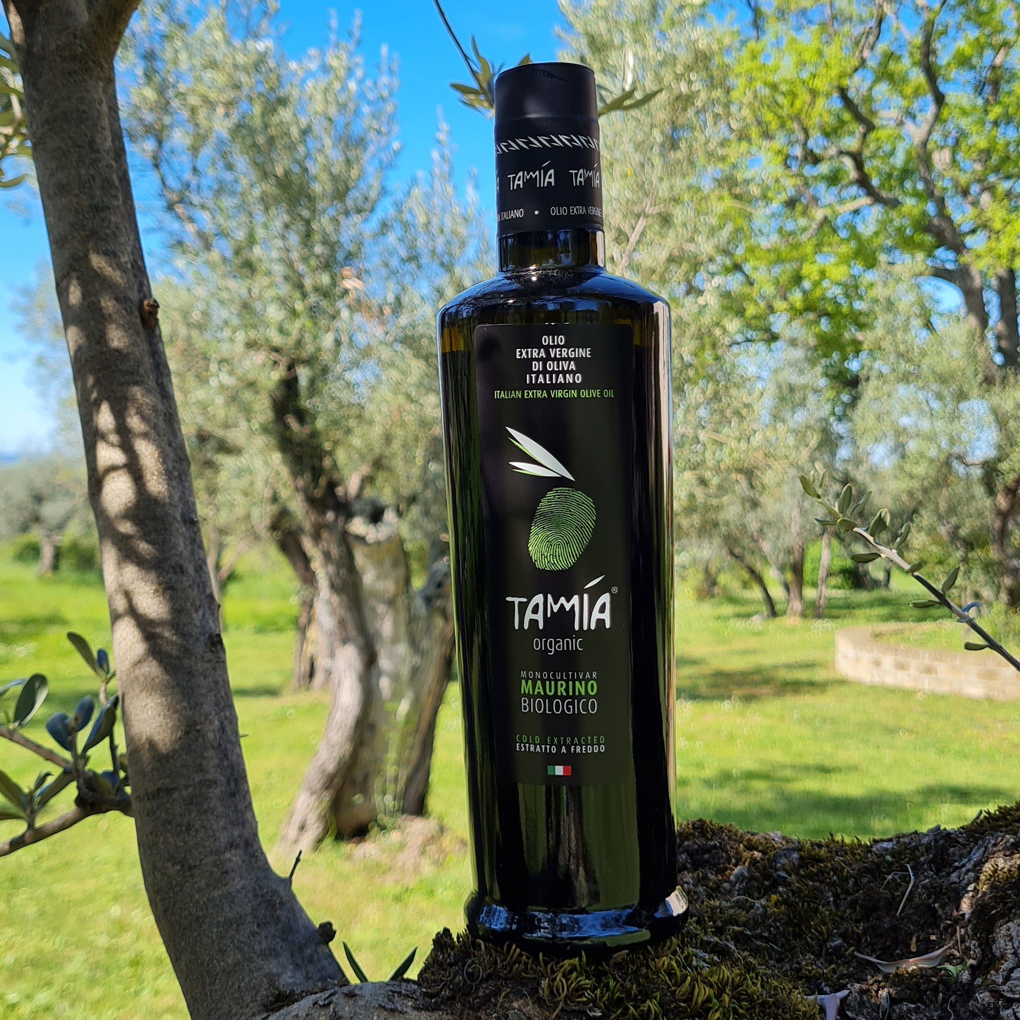 Tamia Maurino Organic
